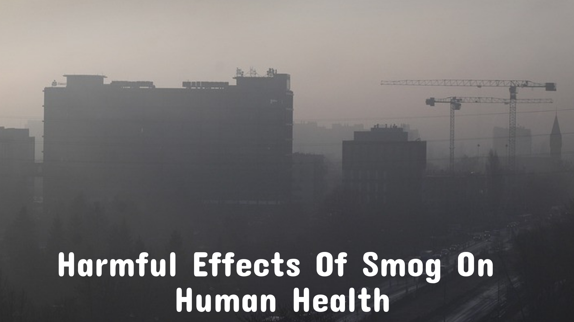 smog effects on human health